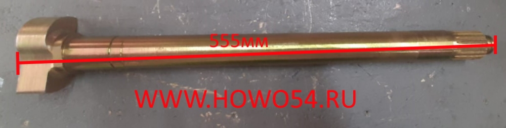 11074