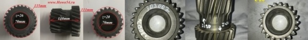 15536