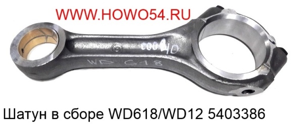 16955